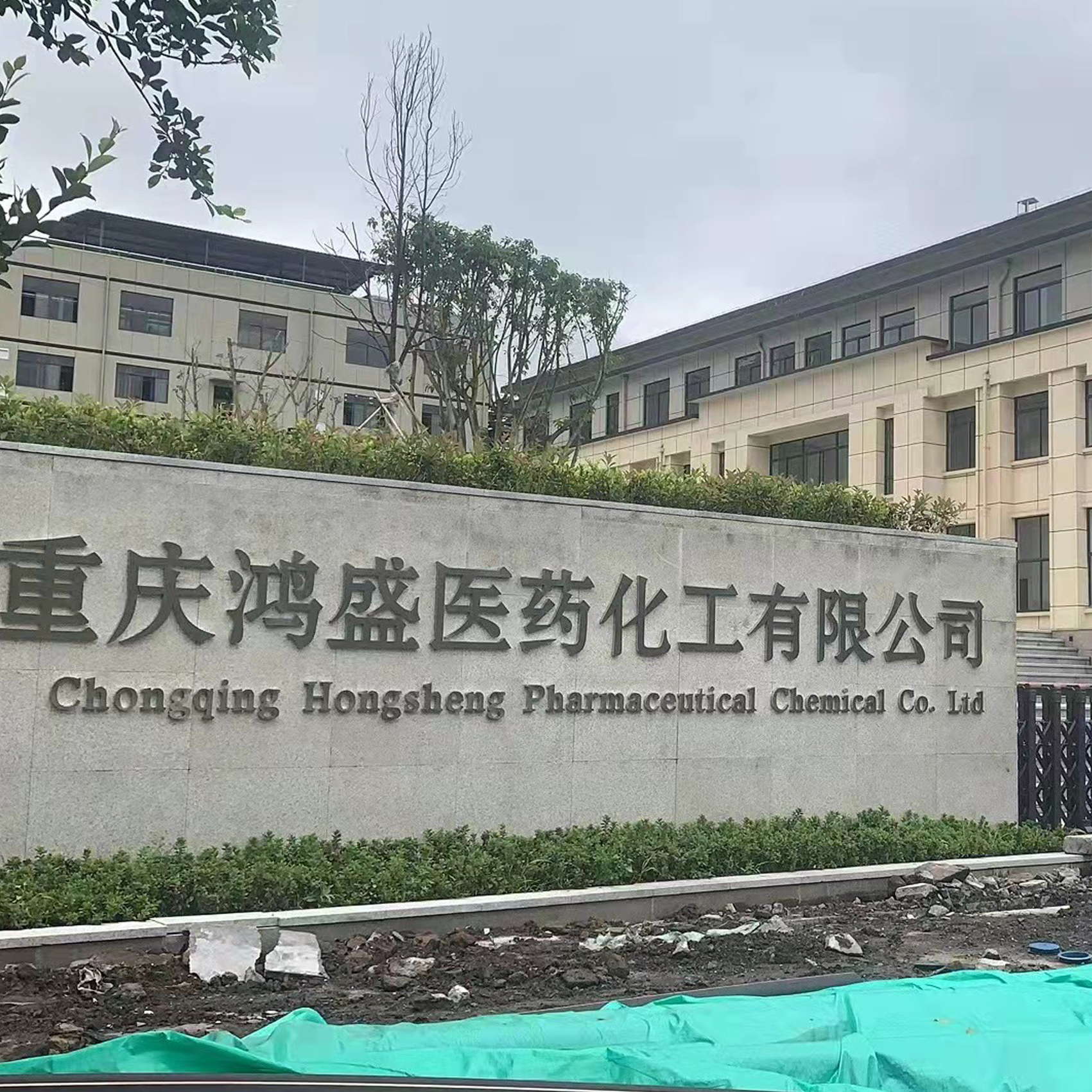 重慶鴻盛醫(yī)藥化工有限公司10噸蒸汽鍋爐低氮30mg改造案例